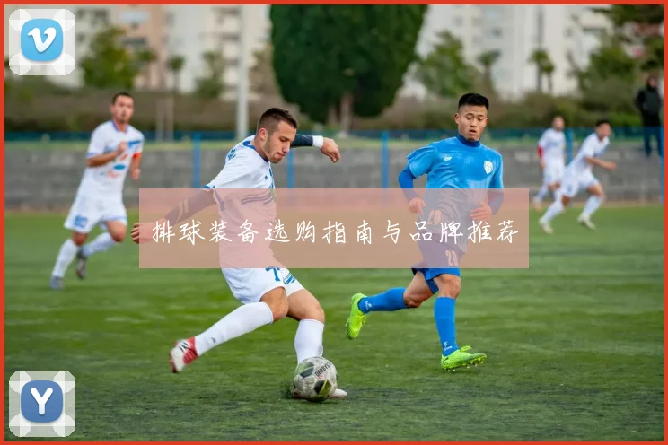 排球装备选购指南与品牌推荐