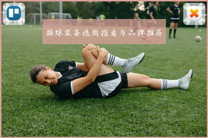 排球装备选购指南与品牌推荐