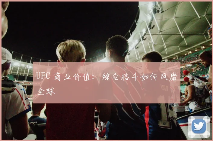 UFC 商业价值:综合格斗如何风靡全球